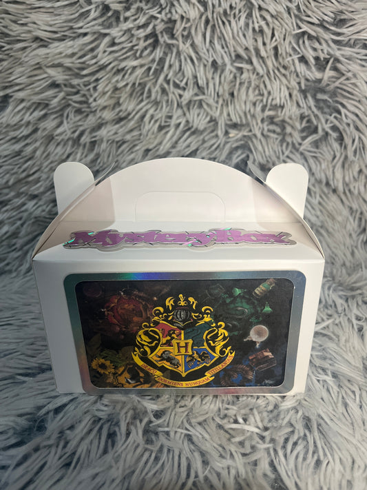 Wizard School Mystery Box